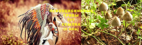 мескалин Горняк