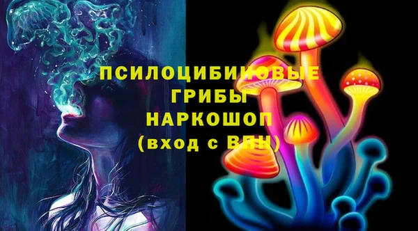 амф Гусиноозёрск