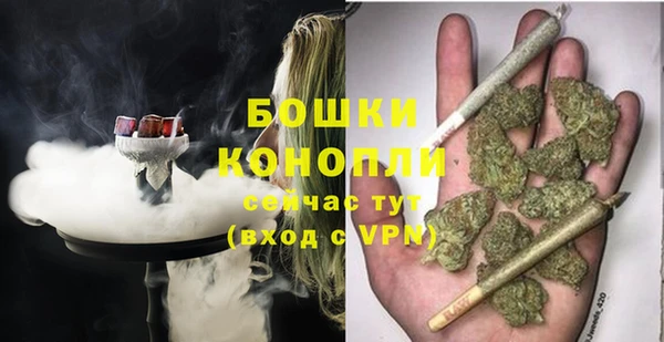 амф Гусиноозёрск